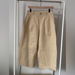 Anthropologie Maeve Pleated Barrel Leg Chino Pant